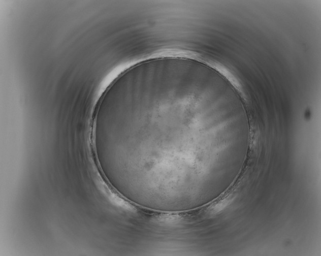X0000089341094200706221112