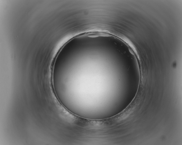 X0000089341096200706221112