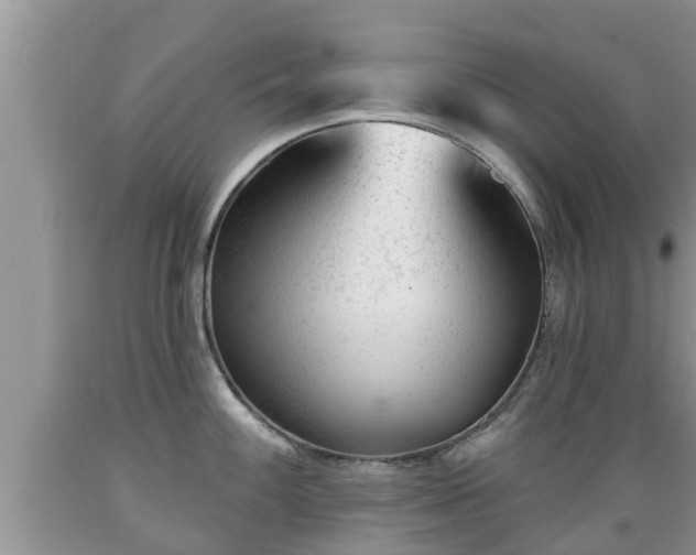 X0000089341100200706221112