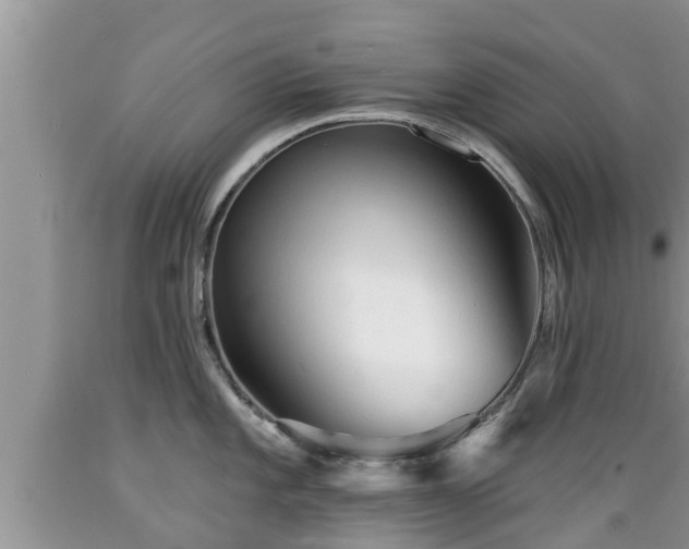 X0000089341101200706221112