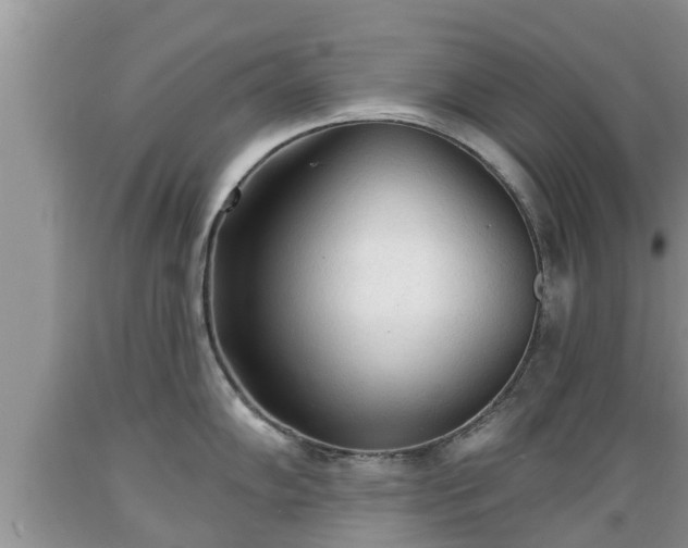 X0000089341102200706221112