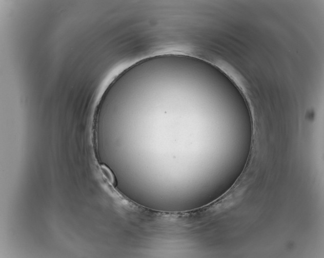 X0000089341104200706221112