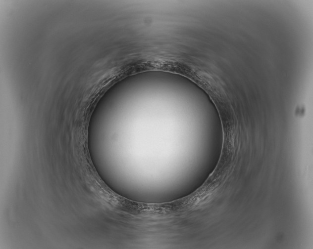 X0000089341105200706221111