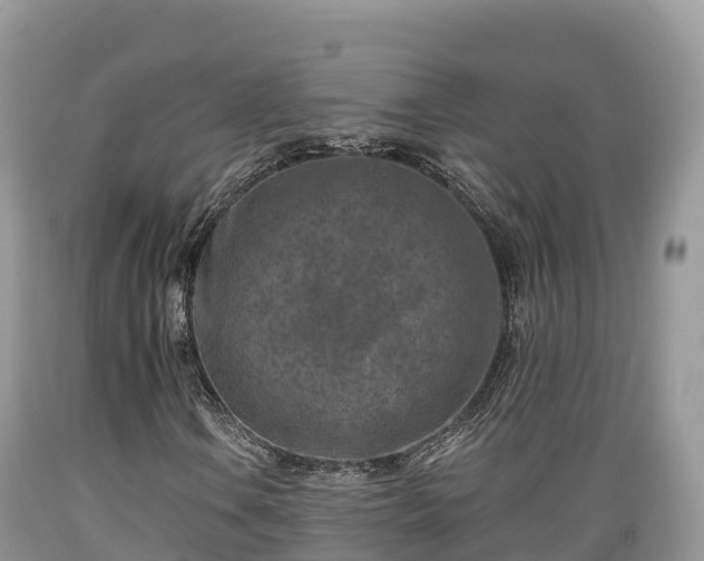 X0000089341106200706221111