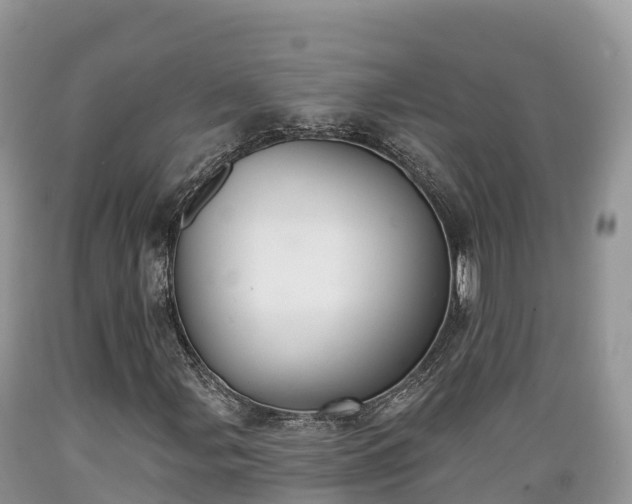 X0000089341107200706221111