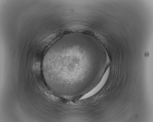 X0000089341108200706221111
