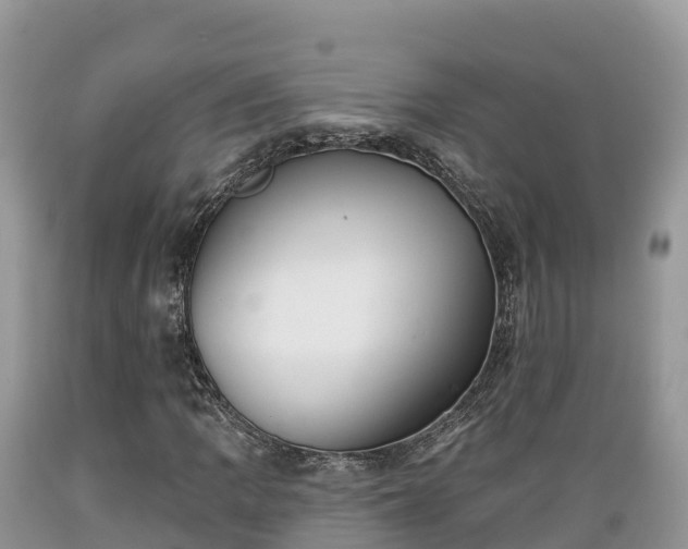X0000089341109200706221111