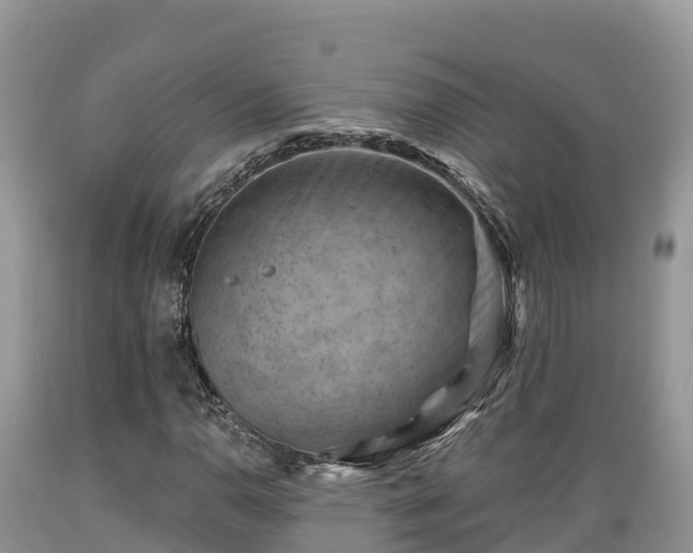 X0000089341110200706221111