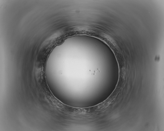 X0000089341111200706221111