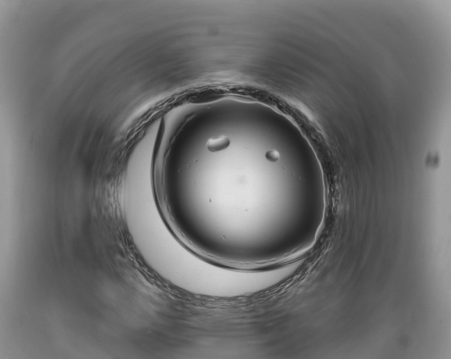 X0000089341112200706221111