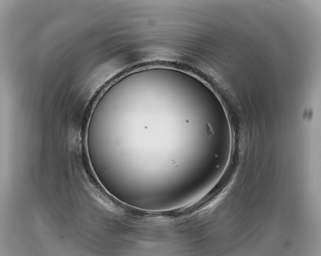 X0000089341113200706221112