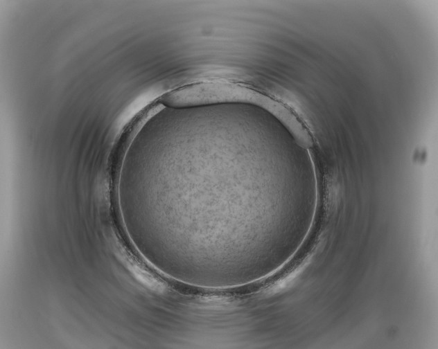 X0000089341114200706221112