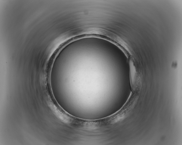 X0000089341116200706221112