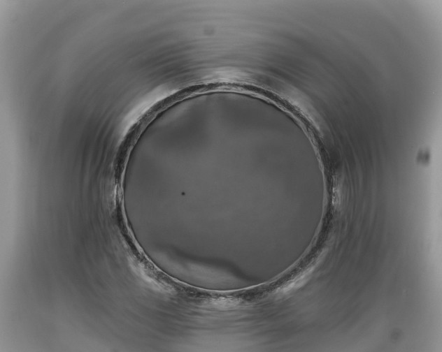 X0000089341117200706221112