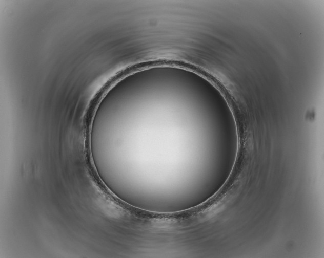 X0000089341118200706221112