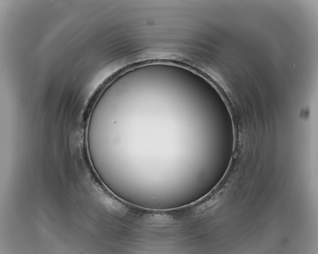 X0000089341119200706221112