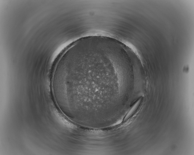X0000089341120200706221112