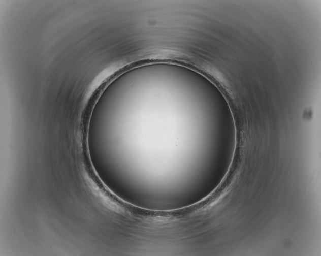 X0000089341122200706221112