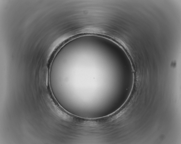 X0000089341123200706221112