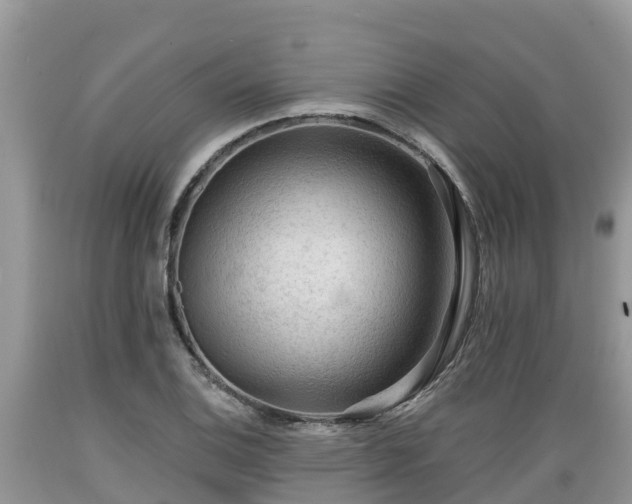 X0000089341124200706221112