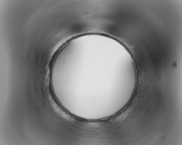 X0000089341126200706221112