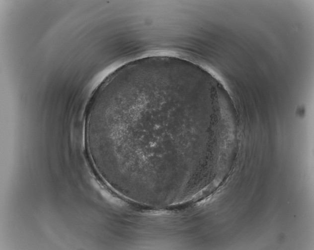 X0000089341127200706221112