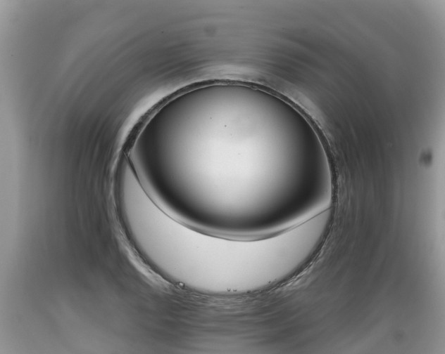 X0000089341128200706221112