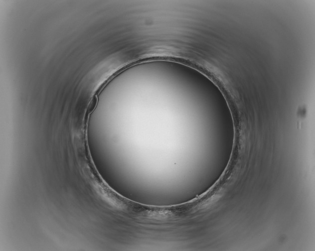 X0000089341129200706221112