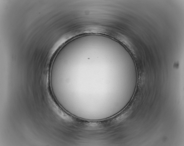 X0000089341130200706221112