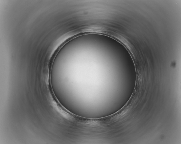 X0000089341131200706221112