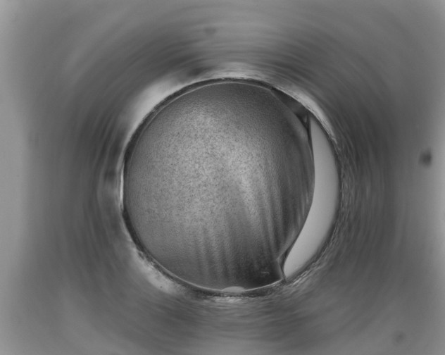 X0000089341132200706221112