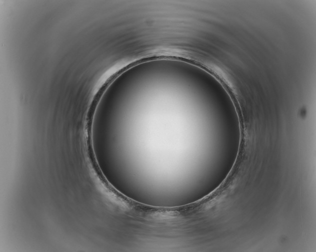 X0000089341133200706221112