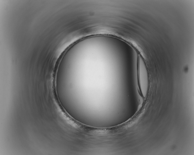X0000089341134200706221112