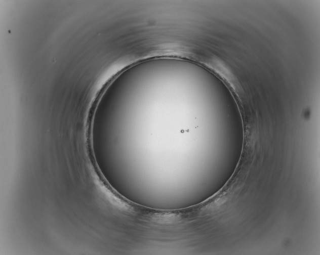 X0000089341135200706221112