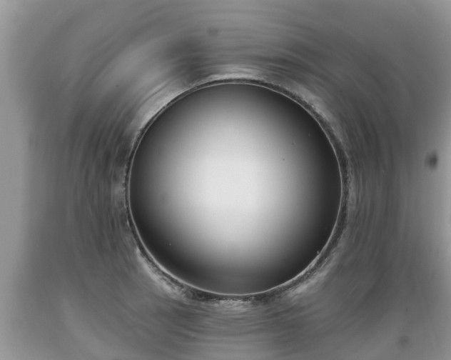 X0000089341137200706221112