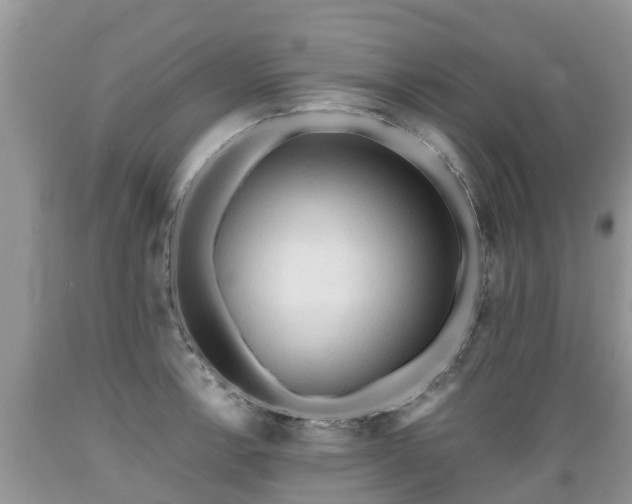 X0000089341138200706221112