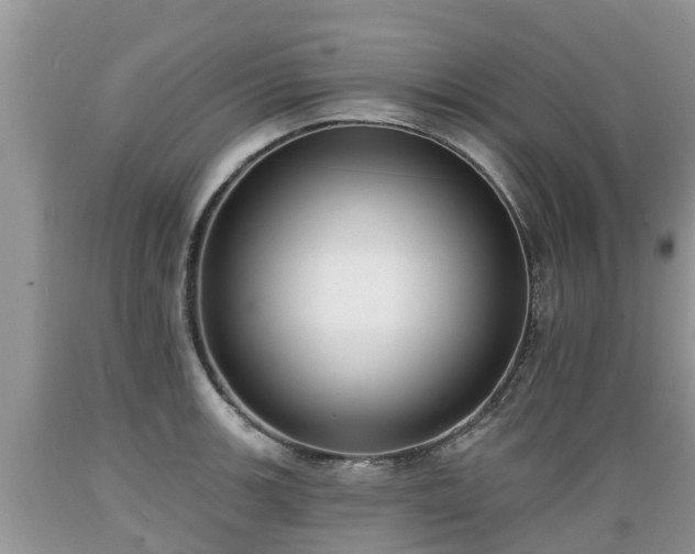X0000089341139200706221112