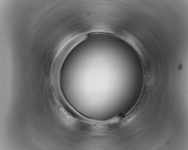 X0000089341140200706221112