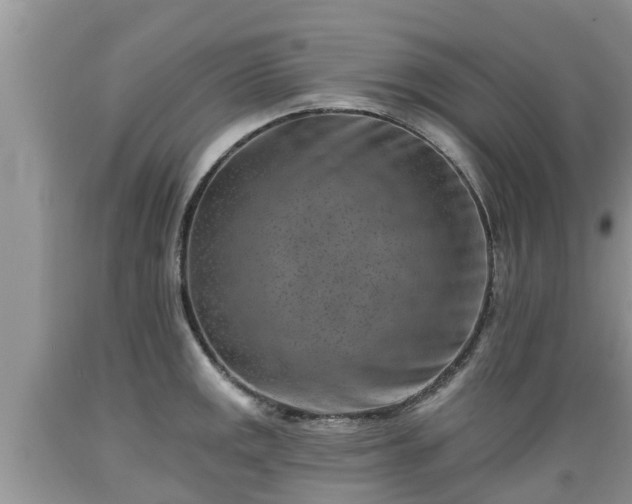 X0000089341141200706221112