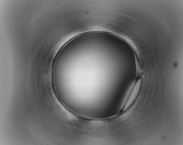 X0000089341142200706221112