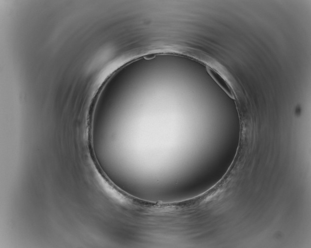 X0000089341143200706221112