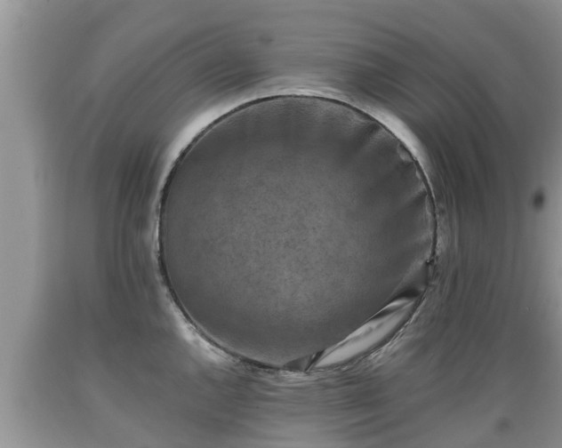 X0000089341144200706221112