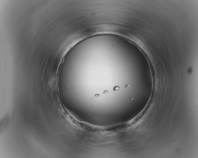 X0000089341145200706221112