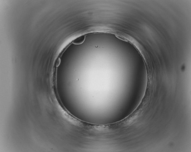 X0000089341147200706221112