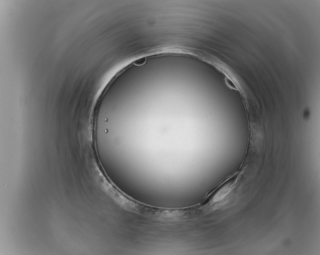 X0000089341148200706221112