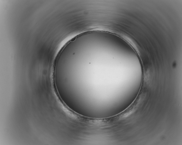 X0000089341149200706221112