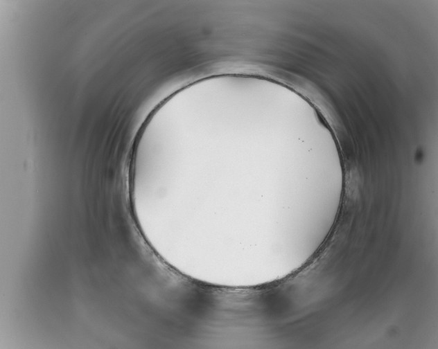 X0000089341150200706221112