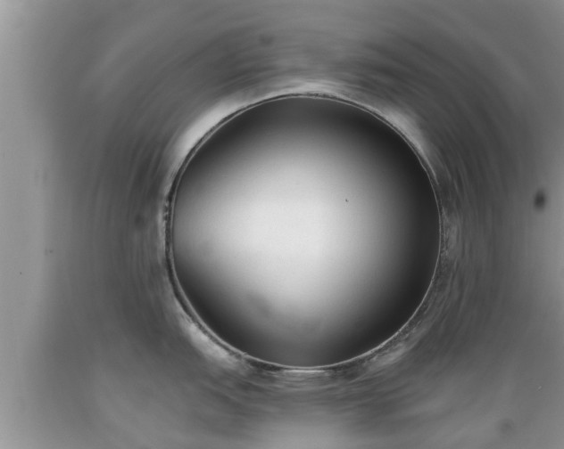 X0000089341151200706221112