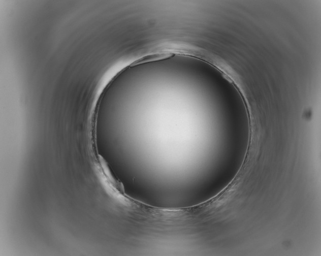 X0000089341152200706221112