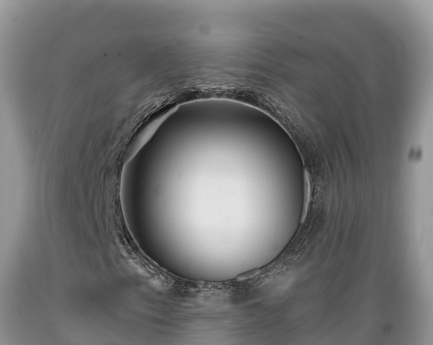 X0000089341153200706221111